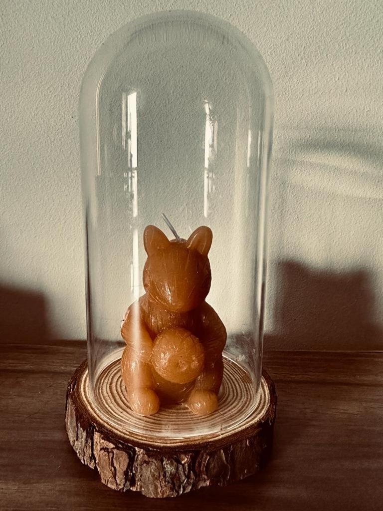 Love, Made In Xisto Piódão 外观 照片